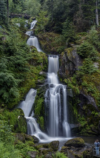 Triberg Waterfalls in the Black Forest