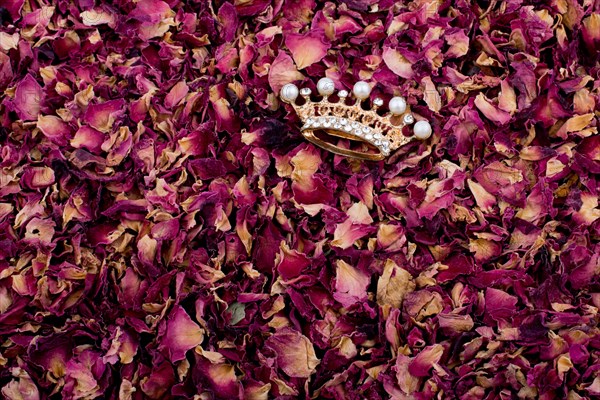 Crown is placed on background of dried rose petals