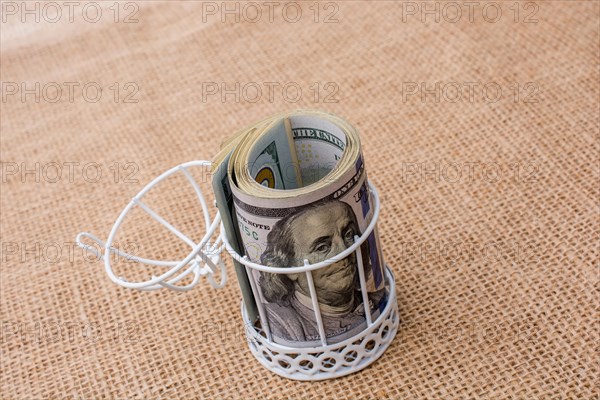 Banknote bundle of US dollar placed in a birds cage