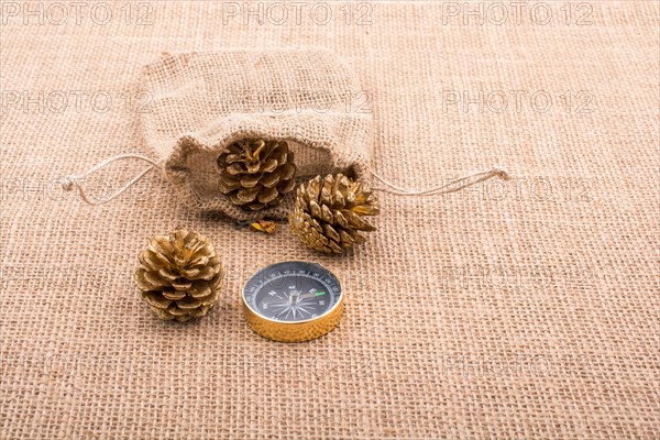 Pine cones out of sack on a canvas and a compass