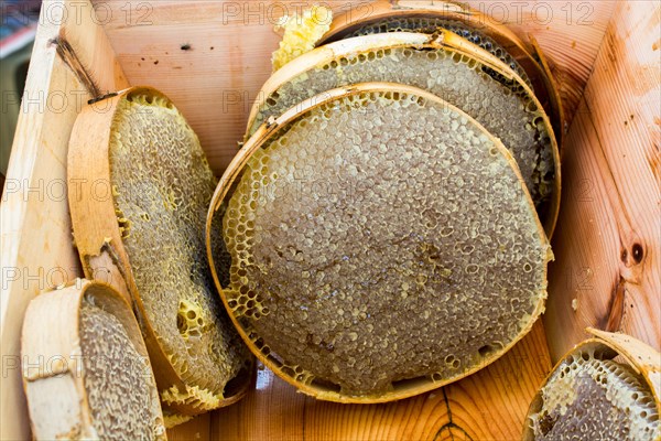 Sweet fresh honey in the sealed comb frame