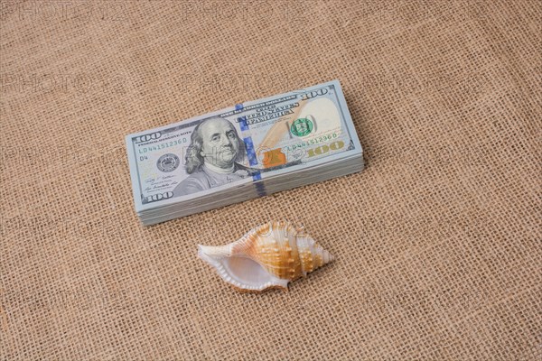 Sea shell placed on bundle of US dollar banknotes