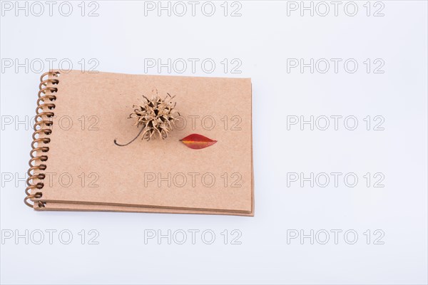 Heart shaped leaf pine cone and a pencil on a notebook on a white background
