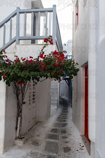 The white washed old town of Horta