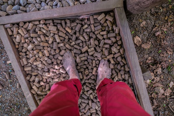 Feet of a man on bottle corks on the Wuppenau barefoot path on Nollen