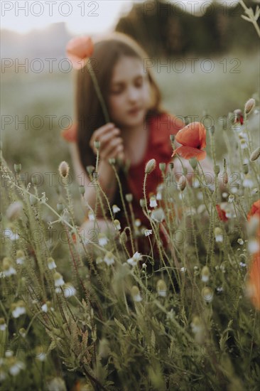 Girl in a red dress in a poppy meadow