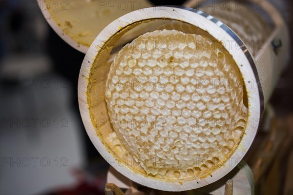 Sweet fresh honey in the sealed comb frame