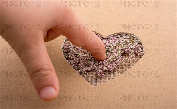 Hand on heart shape hole on paper on the linen canvas