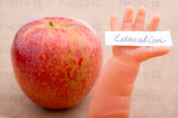 Back to school theme with a red apple