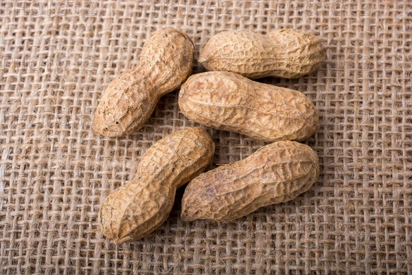 Peanuts with shell on linen canvas background