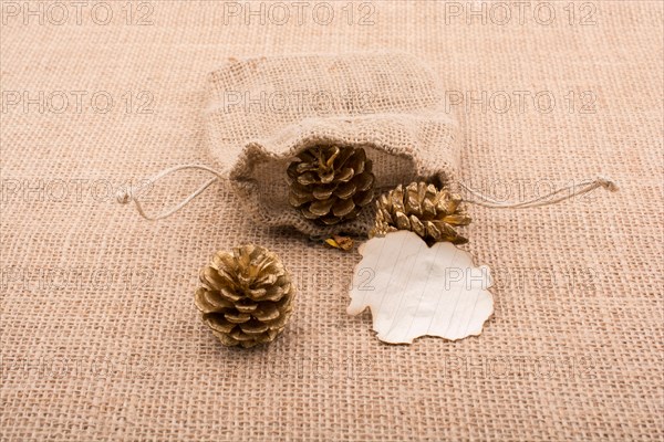 Pine cones out of sack and burnt paperon canvas