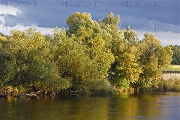 Autumn in the floodplain