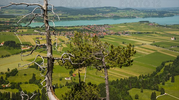 Panorama of the Tegelberg massif