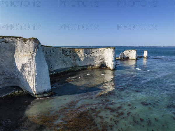 Aerial view of the chalk coast Old Harry Rocks