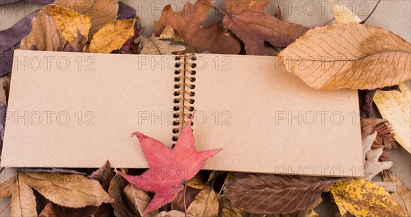 Open blank notebook with fallen autumn leaves as a background