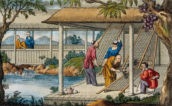 A Chinese tea plantation with workers cleaning the racks on which the leaves are placed to dry