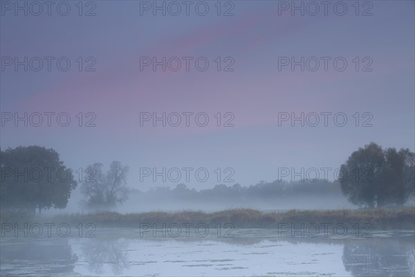 Autumn in the floodplain