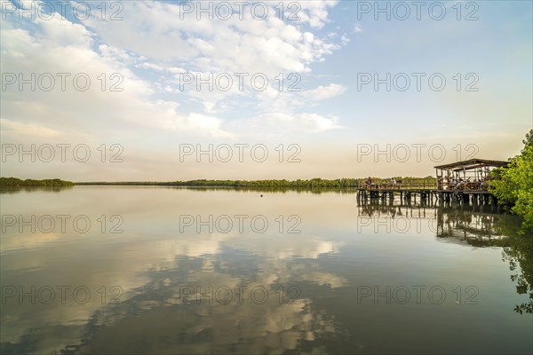 Clouds reflected in a branch of the Gambia River at Bintang Bolong Lodge