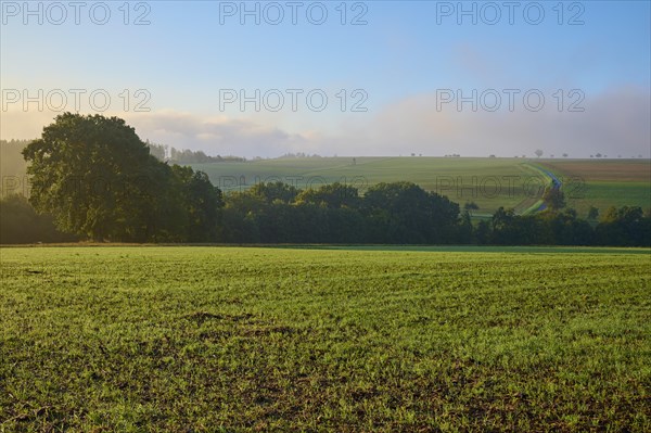 Landscape