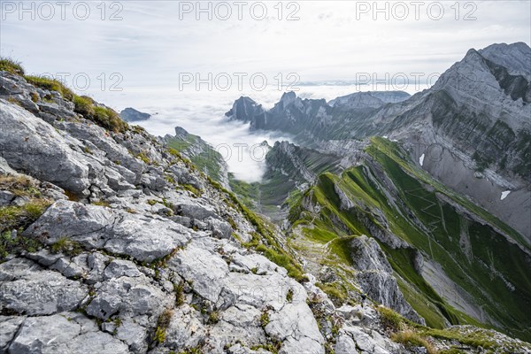 View of mountain peaks above the sea of clouds and Rotsteinpass