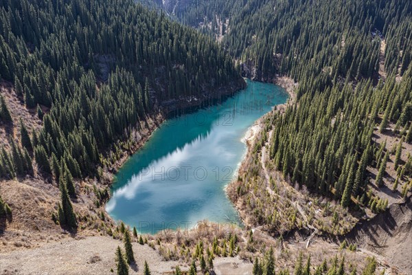 Aerial of the Kaindy lake with its dead trees