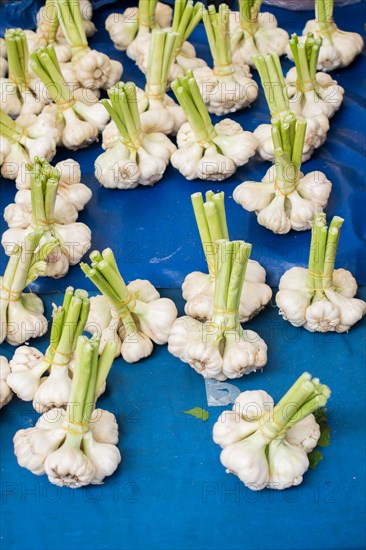 Bunch of garlic bulbs at the market place