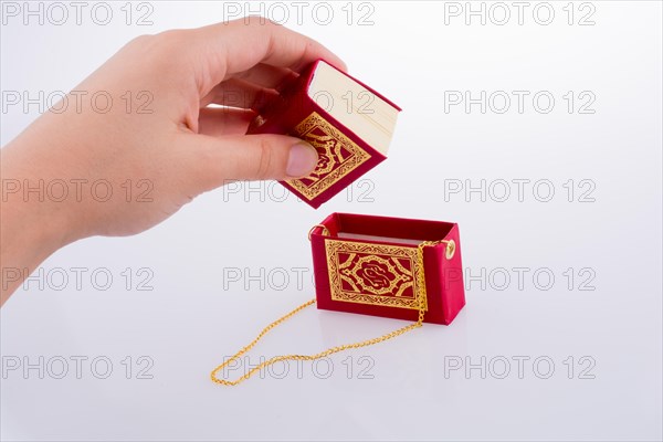 Hand holding The Holy Quran on a white background