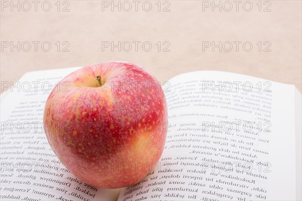 Back to school theme with a red apple