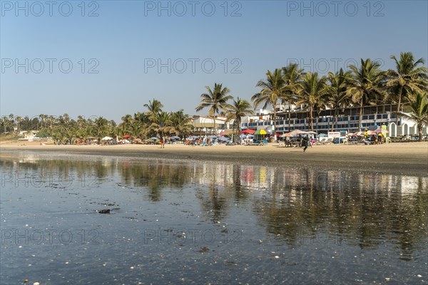 Palm trees on Kotu beach at Paradise Beach Bar and Restaurant reflected in the shallow water at low tide