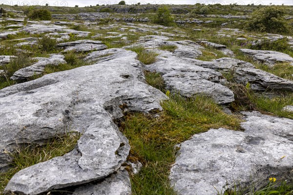 Barrows and gullies