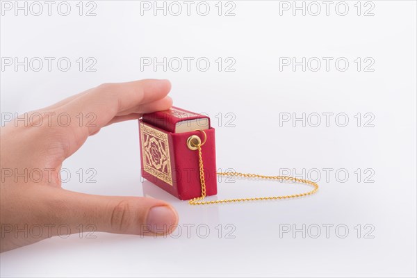 Hand holding The Holy Quran on a white background