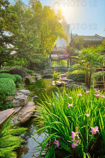 Chinese garden park in China