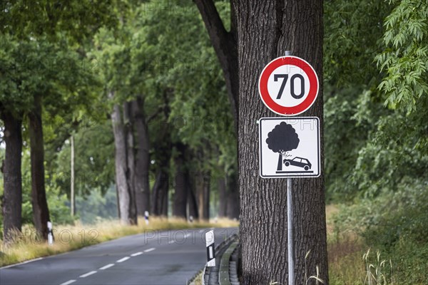 Warning sign for tree accident