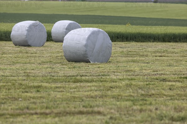 Hay bales in plastic