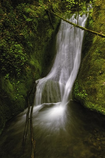 Edelfrauengrab waterfall of the Gottschlag stream in the Black Forest National Park near Ottenhoefen