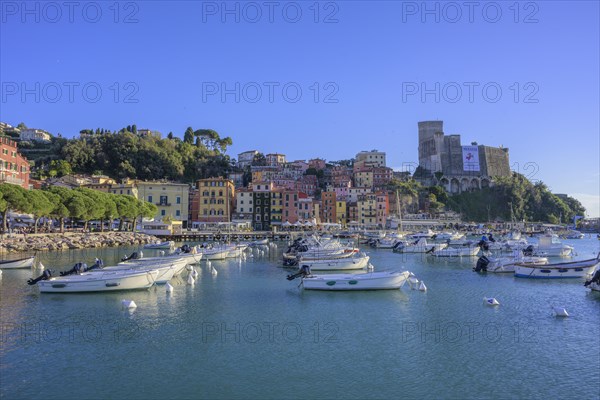 Castle and boats in the port of