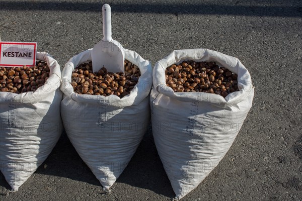 Raw fresh sweet chestnut for ready for sale