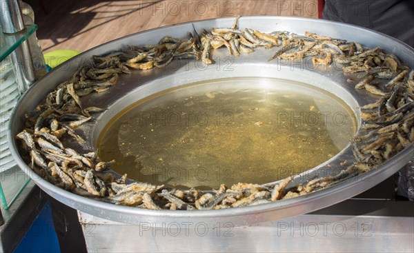 Tray with ready to fry anchovies fish fish as seafood