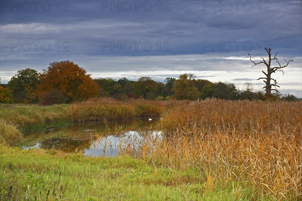 Autumn in the floodplain