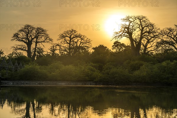 River landscape in the evening light