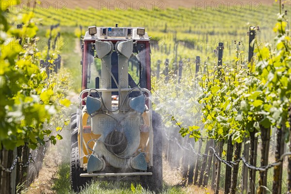 Tractor in vineyard spraying pesticide