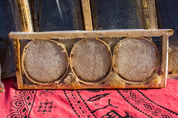 Sweet fresh honey in the sealed comb frame