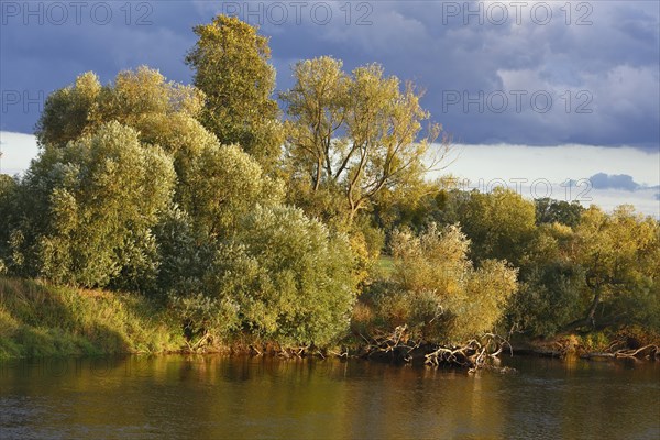 Autumn in the floodplain