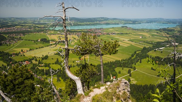 Panorama of the Tegelberg massif