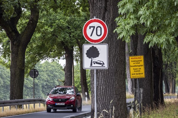 Warning sign for tree accident