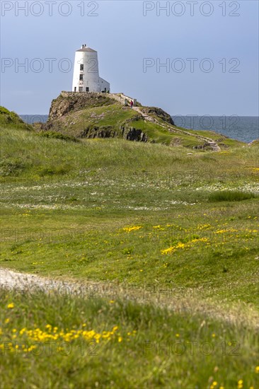 Goleudy TÅµr Mawr Lighthouse