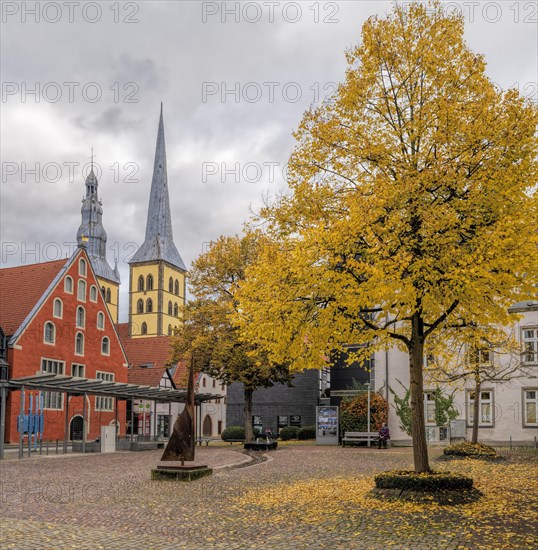 Waisenhausplatz Autumn Lemgo Germany