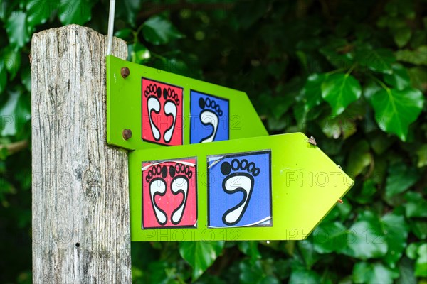 Signs on the Wuppenau barefoot path on Nollen