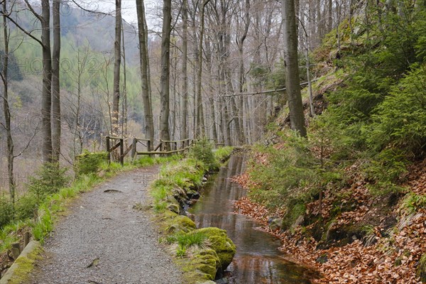 Path through the Radau Valley