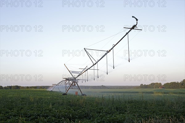 Field irrigation